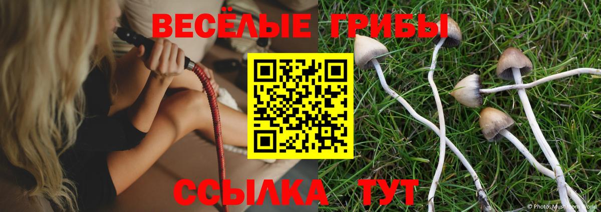 Ефремов  Галлюциногенные грибы GOLDEN TEACHER  Вход с VPN 